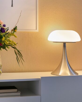 Carrizal Bordlampe Stål Hvidt Glas