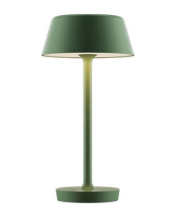 Companion Big Bordlampe Fra Antidark Støvet Grøn