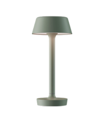 Companion Bordlampe Fra Antidark Støvet Grøn