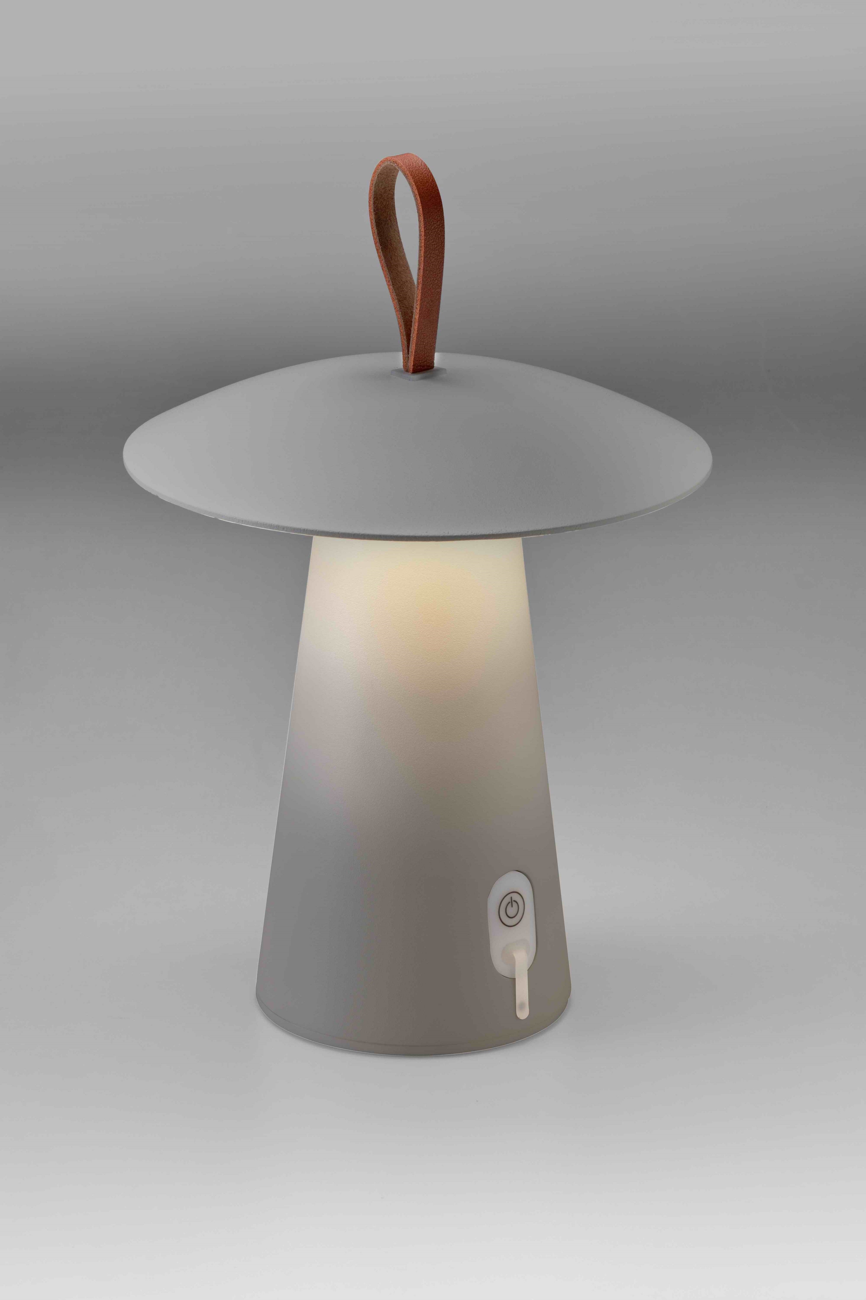 Task Led Transportable Bordlampe Grå